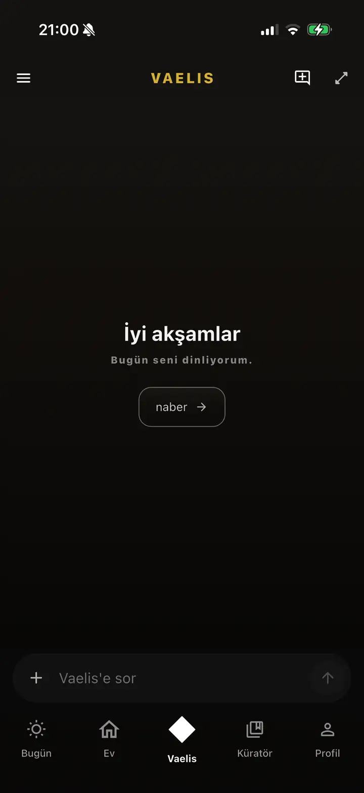 Sohbet ekranı — Vaelis ile konuşma